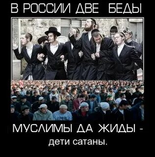 Евреев надо