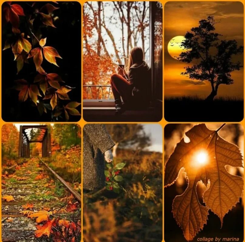 Размышления осени. Осенние размышления. Осенние раздумья. Душа осени. Осень в душе.