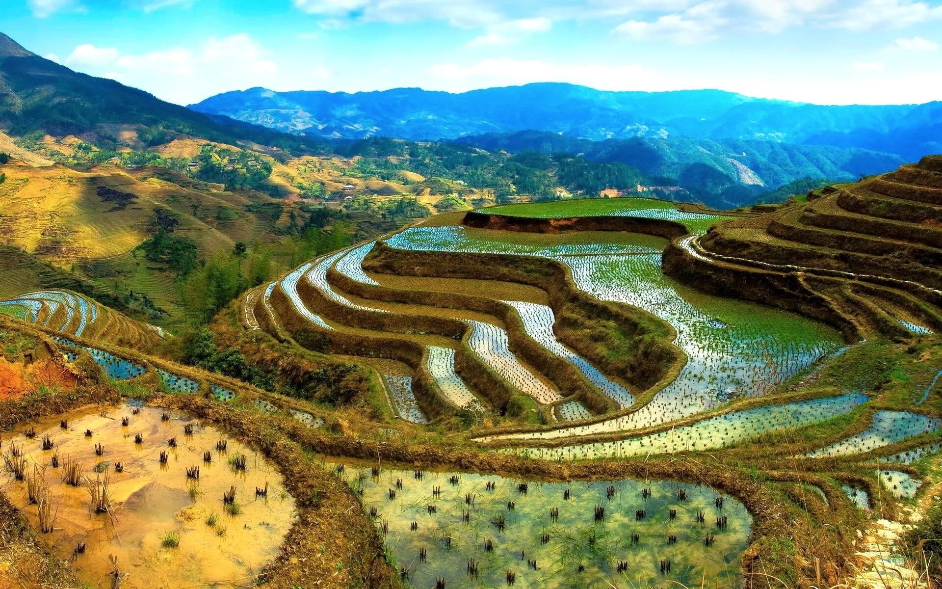 Китайские равнины полезные ископаемые. Рисовые террасы Банауэ Филиппины. Рисовые террасы в филиппинских Кордильерах Филиппины. Рисовые террасы, провинция Ифугао, Филиппины. Рисовые террасы Хунхэ-Хани.