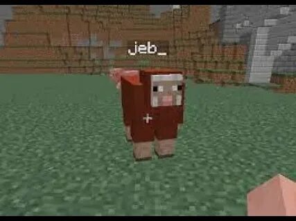 Бирка jeb