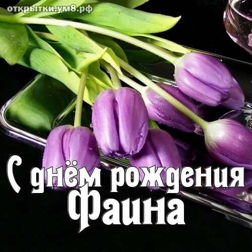 Поздравления с днём рождения женщине фаине. Поздравления с днём рождения женщине. Поздравления с днём рождения женщине фаине красивые. Открытка фаине. Поздравление с днём рождения фаине.