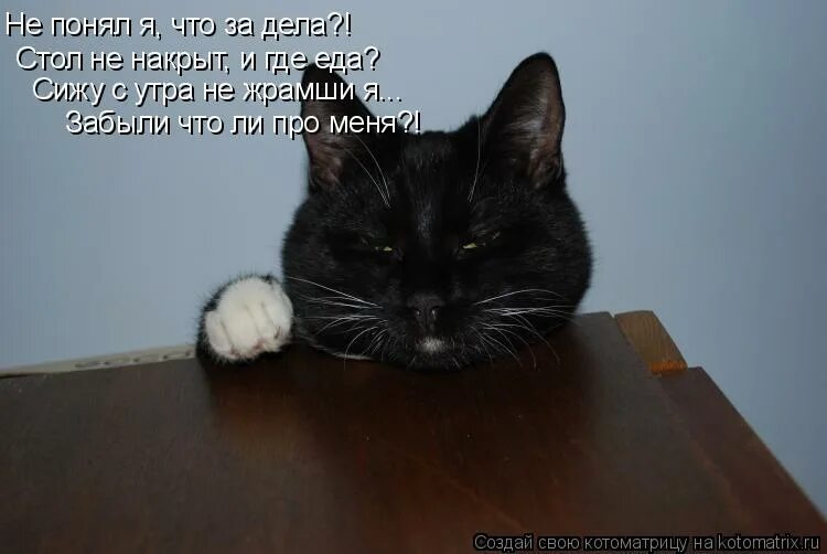 ничего не понимаю мем. это я сижу и не понимаю. левиафан фильм ничего не понимаю. нарисованный человечек мем. это я сижу и не понимаю.