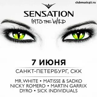 Into sense