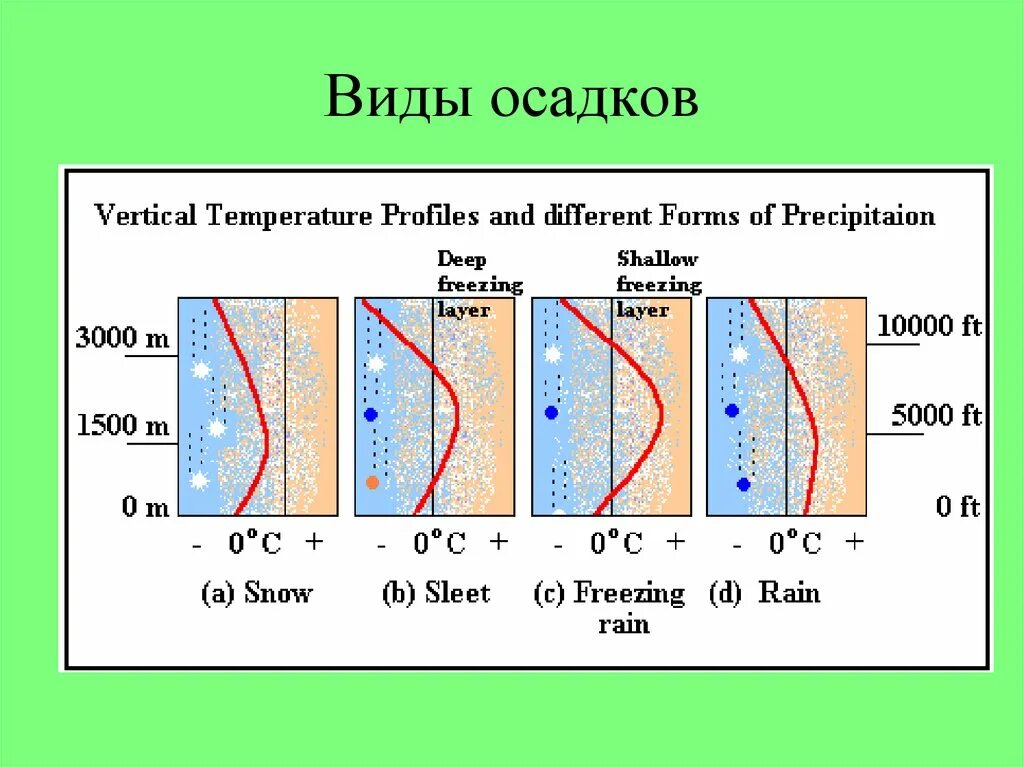 Виды химических осадков. Роль осадков. Структуры осадков.