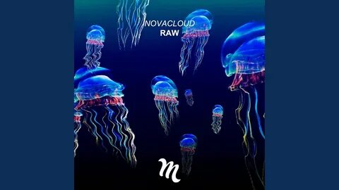 Медузу в бесплатном качестве