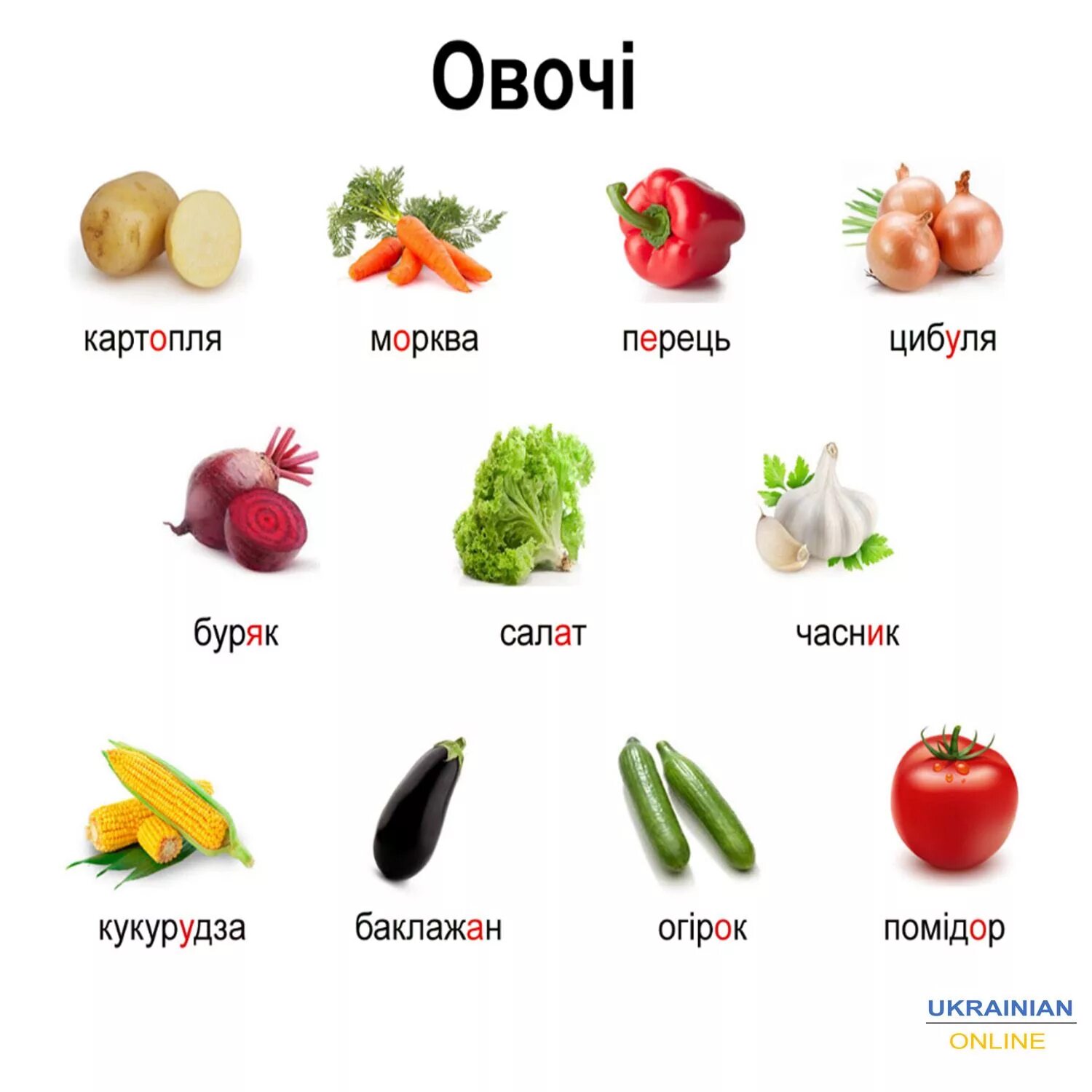 Овощи слова русский. Украинский язык учить. Украинские слова учить. Украинский язык для начинающих. Украинские слова для начинающих для детей.