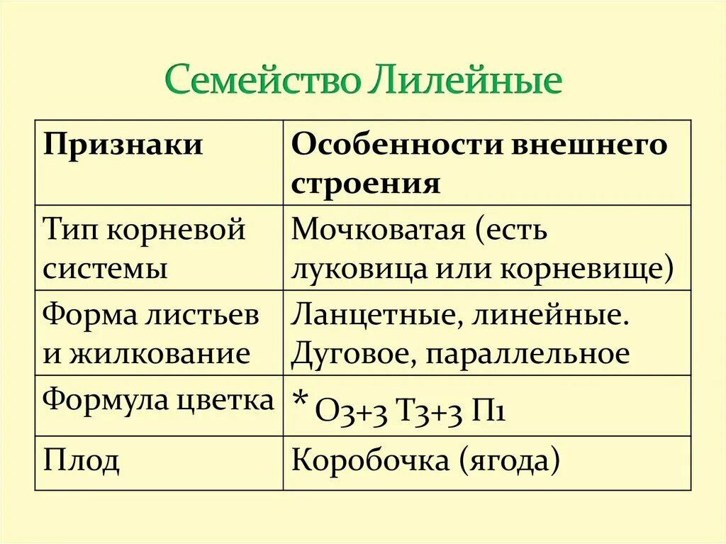 Семейство злаковые и лилейные. Семейство Лилейные. Лилейные таблица. Признаки семейства Лилейные. Семейство Лилейные особенности.