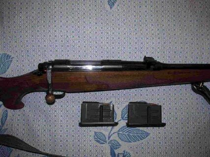 Продаю лось 1