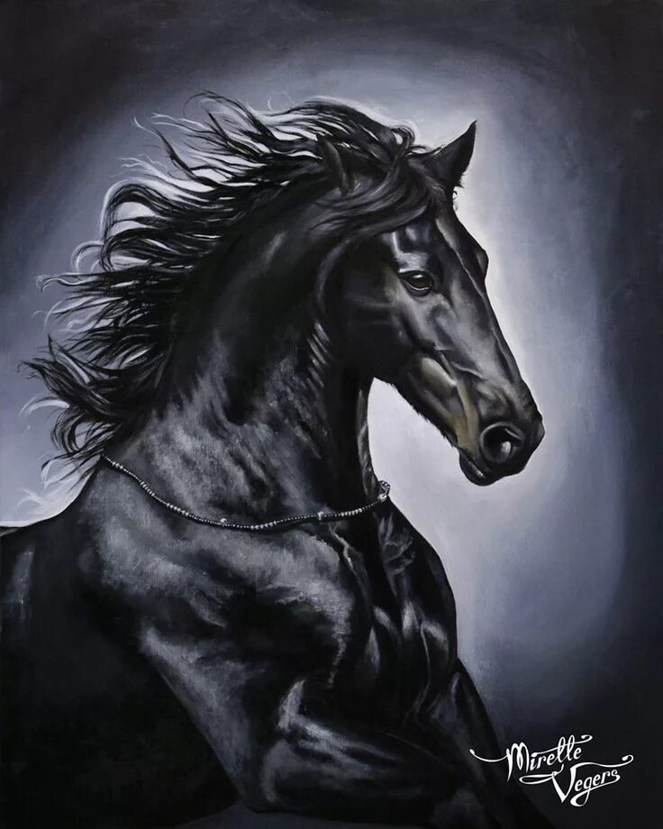 Лошадь черный. Вороной конь. Фризская лошадь. Конь арт. Книга черный конь