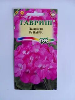 Озон пеларгония семена