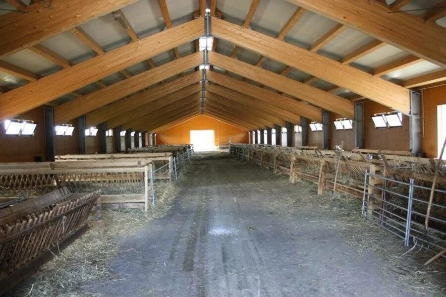 Овцеводство в ставропольском крае. Овцеводство овчарня. Кошара для овец. Овцеводство овчарня. Кошара для овец в степи.