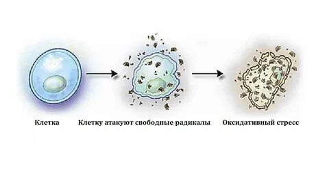Радиоактивная клетка