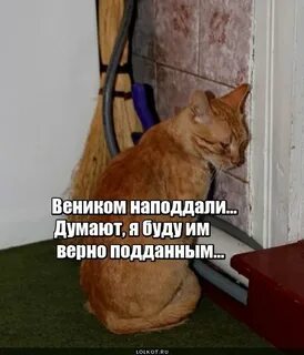Будешь в углу стоять наказан