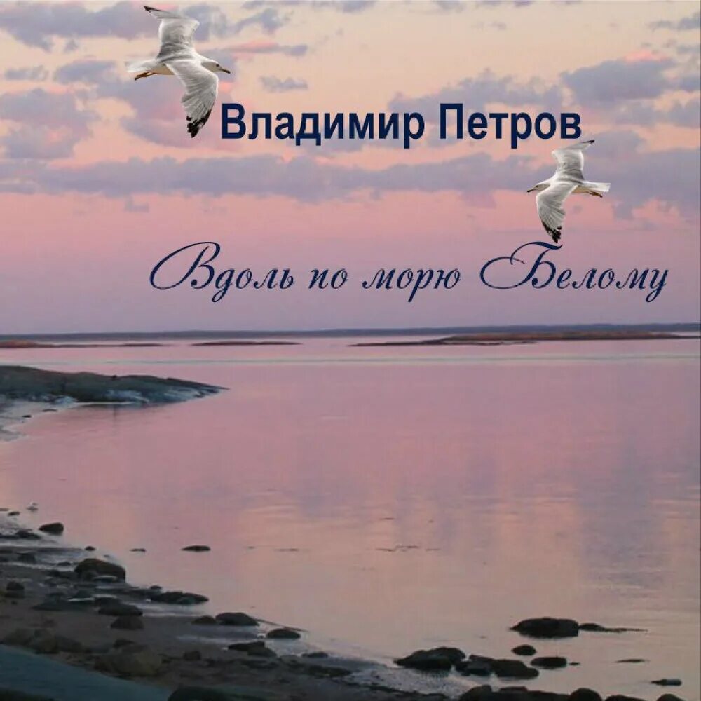 Концерт шамана песенное сияние белого моря 5. Белое море карелия. Песни о белом море. Белое море пляж. Берег белого моря архангельская область.