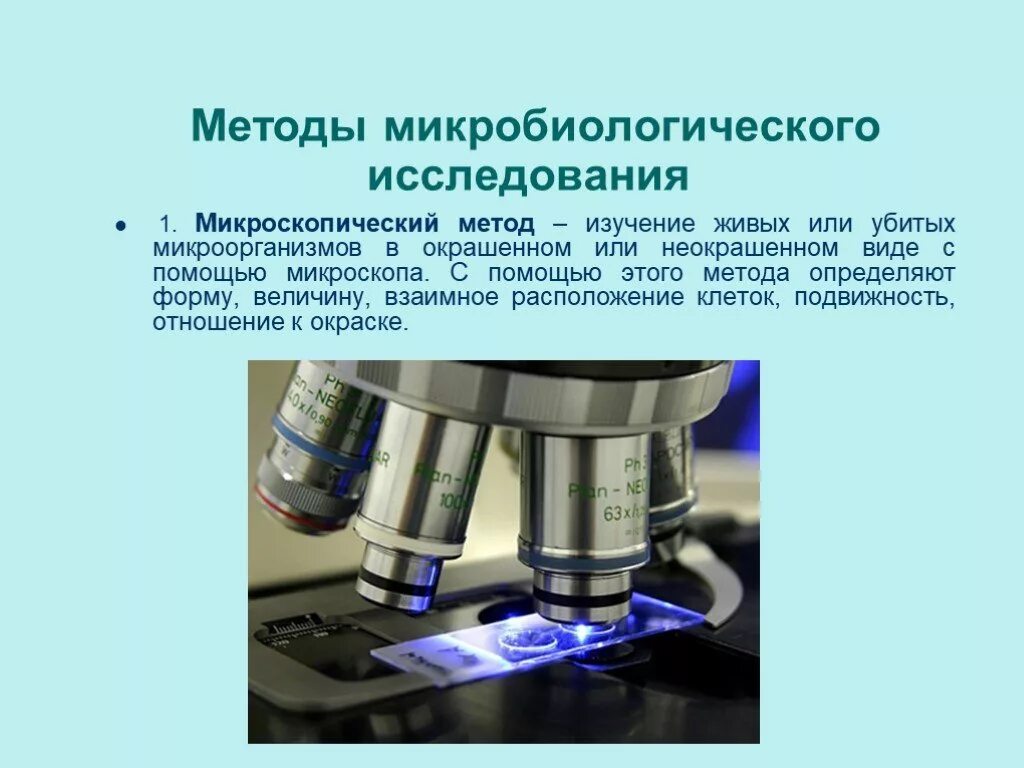 Микроскопия какой метод исследования. Микроскопный метод исследования микроорганизмов. методы исследования морфологии бактерий микроскопия. микроскопический метод микробиологического исследования. методы микроскопического исследования микроорганизмов.