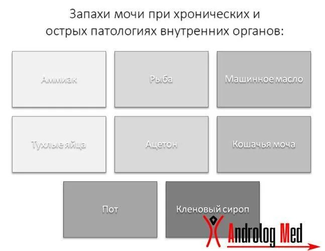 У мужчины плохо пахнет пах. Моча пахнет. Запах мочи при различных заболеваниях. Моча пахнет неприятным запахом. Причины неприятного запаха мочи.