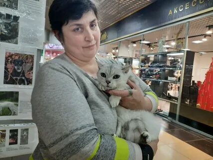 Тула хозяев