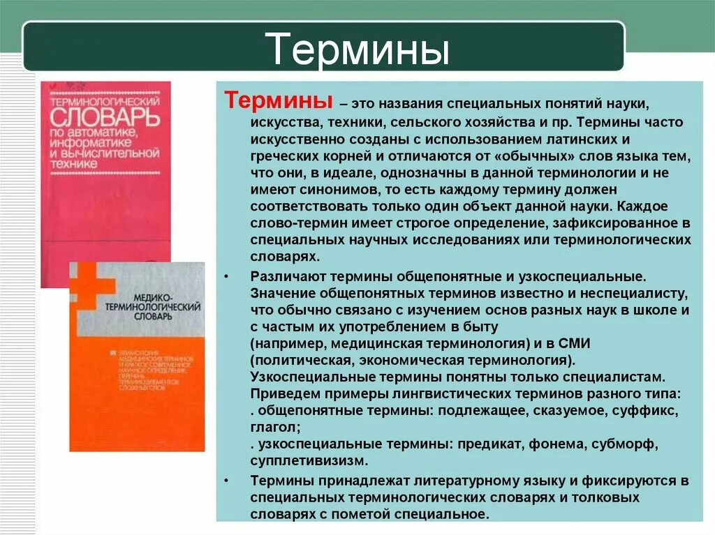 Как называются специальные слова. Термин терминология Терминосистема. Терминологический словарь. Терминологическая и профессиональная лексика. Словарь терминологических понятий.