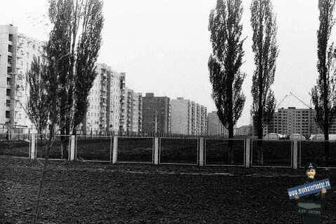 Краснодар 80 х