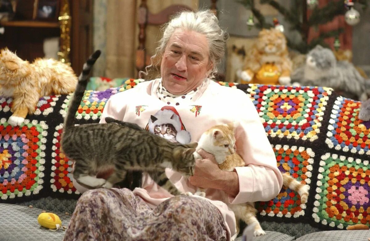 Т кота. Симпсоны кошатница. Бабка с кошками. Старушка с кошкой. Старая Дева с кошками.