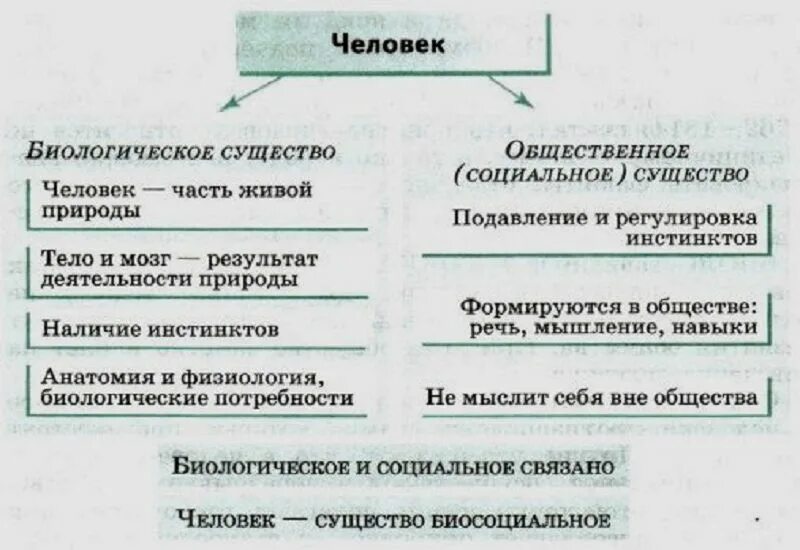 Взаимосвязь социального и биологического в личности. Биологическая сущность человека и социальная сущность человека. Человек биологическое и социальное существо таблица. Биологическое и социальное в человеке.