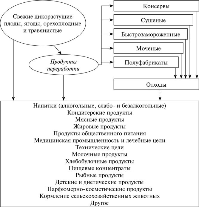 Способы переработки дикорастущего сырья. Способы хранения и переработки дикорастущего сырья. Способы переработки дикорастущих растений. Переработка сырья дикорастущих растений. Переработка и применение сырья дикорастущих растений.