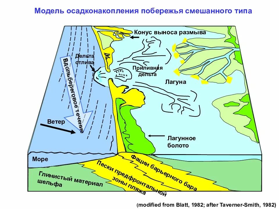Формирование побережий