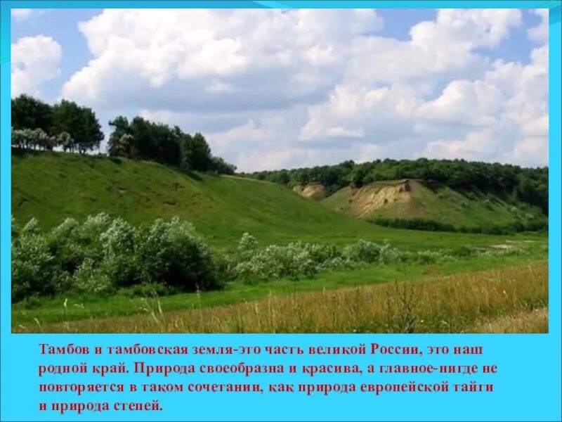 Природа тамбовского края рисунок. Мой край родной тамбовская область. Природа тамбовского края. Край тамбовский край родной. Край тамбовский край родной.