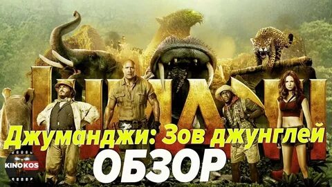 Дзен кинокос