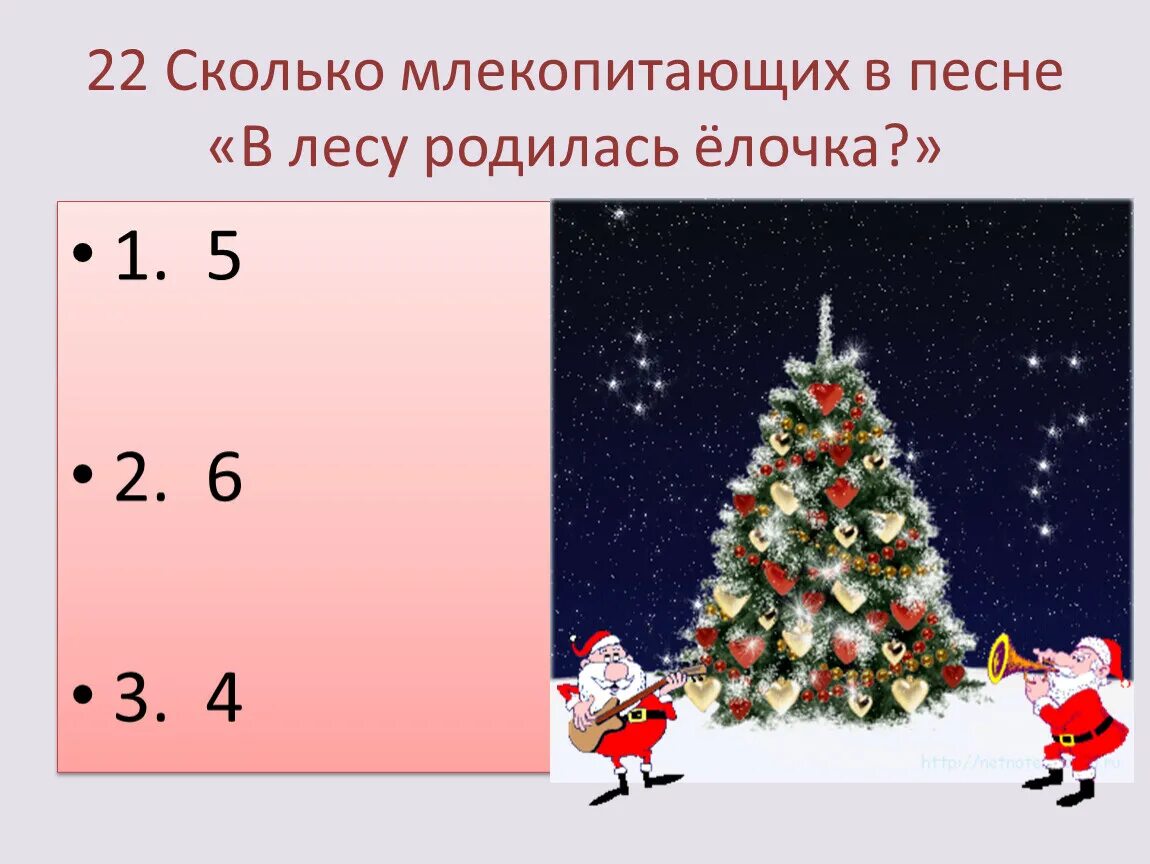 Презентация песни в лесу родилась елочка. Сколько лет песне в лесу родилась елочка. В лесу родилась елочка интервал. Какова года родилась фласка. Сколько лет исполнилось песне «в лесу родилась ёлочка» в 2021 году..