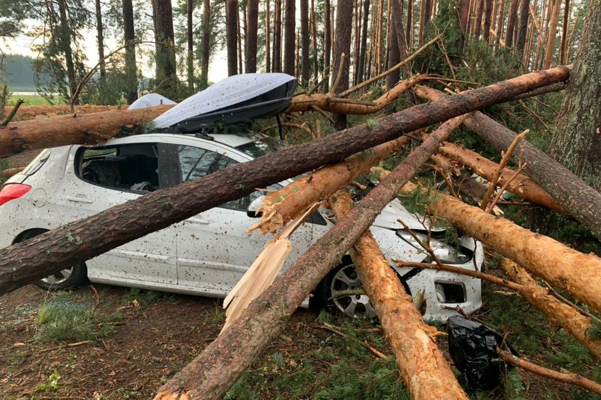 Андреаполь ураган 2 августа 2021. Андреаполь Тверская область смерч. Ураган Андреаполь 02.08.2021. Тверская область ураган 2021.