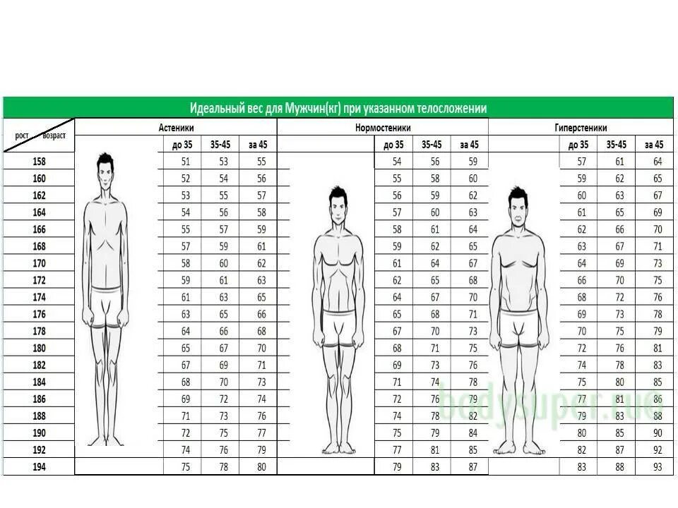 Рост эктоморфа вес параметры. Пропорции тела человека таблица для мужчин. Таблица пропорций тела для мужчин. Типы телосложения человека таблица.