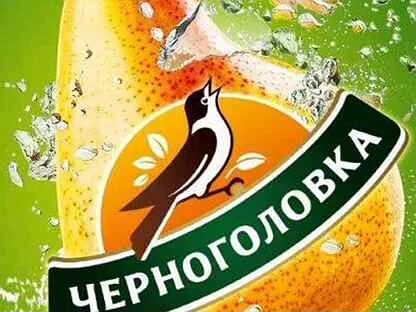 Аквалайф черноголовка