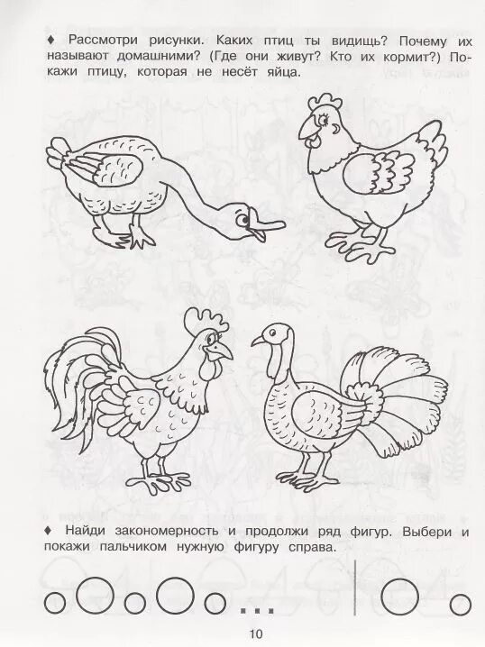 Упражнения для дошкольников тема домашние птицы. Домашние птицы задания для детей 4-5 лет. Домашние птицы логопедические задания для дошкольников. Задания на тему домашние птицы для детей 4-5 лет. Задание логопеды домашние птицы