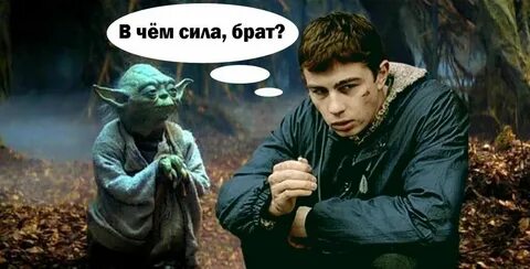 Брат собрат