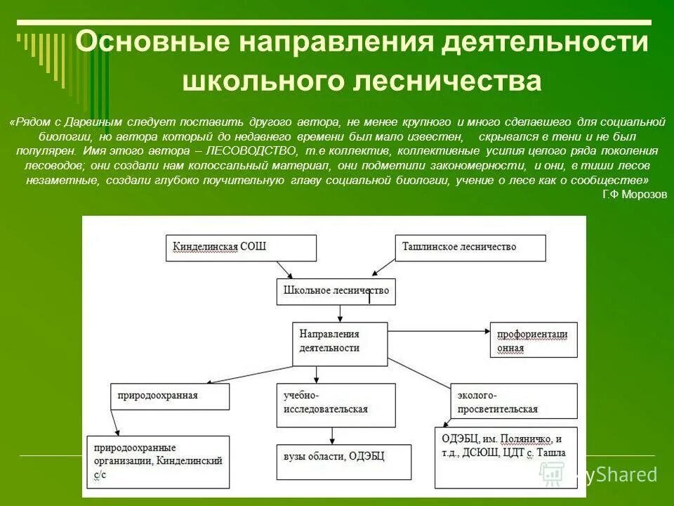 Опыт работы в направлении