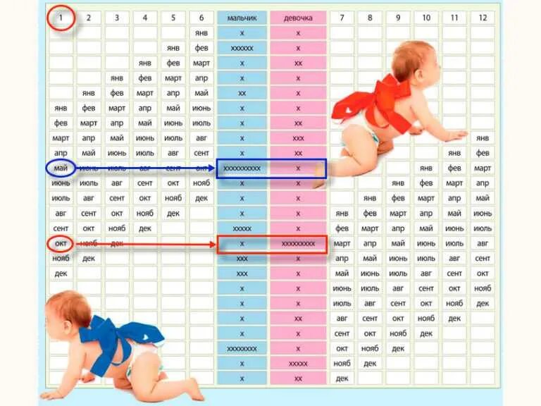 Быстро родить девочку. На каком срокемодно узнать пол ребенка. Беременность и пол будущего ребенка. Календарь на рождение мальчика или девочки. На какой неделе определяют пол ребенка.