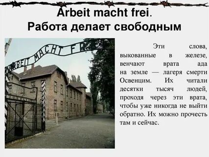 Что означает городской воздух делает свободным