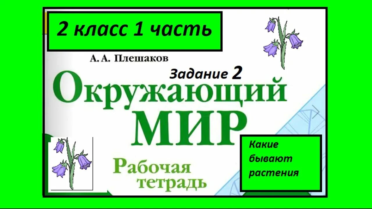 Окр мир посмотри вокруг 2 класс. Какие бывают растения 2 класс окружающий мир рабочая тетрадь. Какие бывают растения окружающий мир 1 класс рабочая тетрадь. Какие бывают растения окружающий мир рабочая тетрадь. Какие бывают растения 2 класс окружающий мир рабочая.