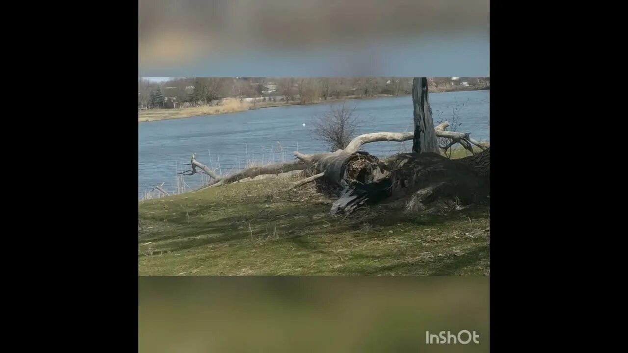 Погода в лебедях калининского района. Хутор лебеди Краснодарский край. Хутор лебеди Краснодарский край Калининский район. Рыбалка лебеди Краснодарский край Хутор. Краснодар Хутор лебеди.