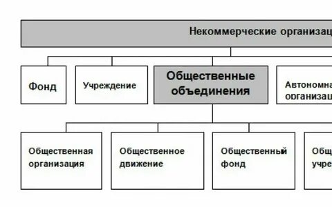 2 формы общественных объединений