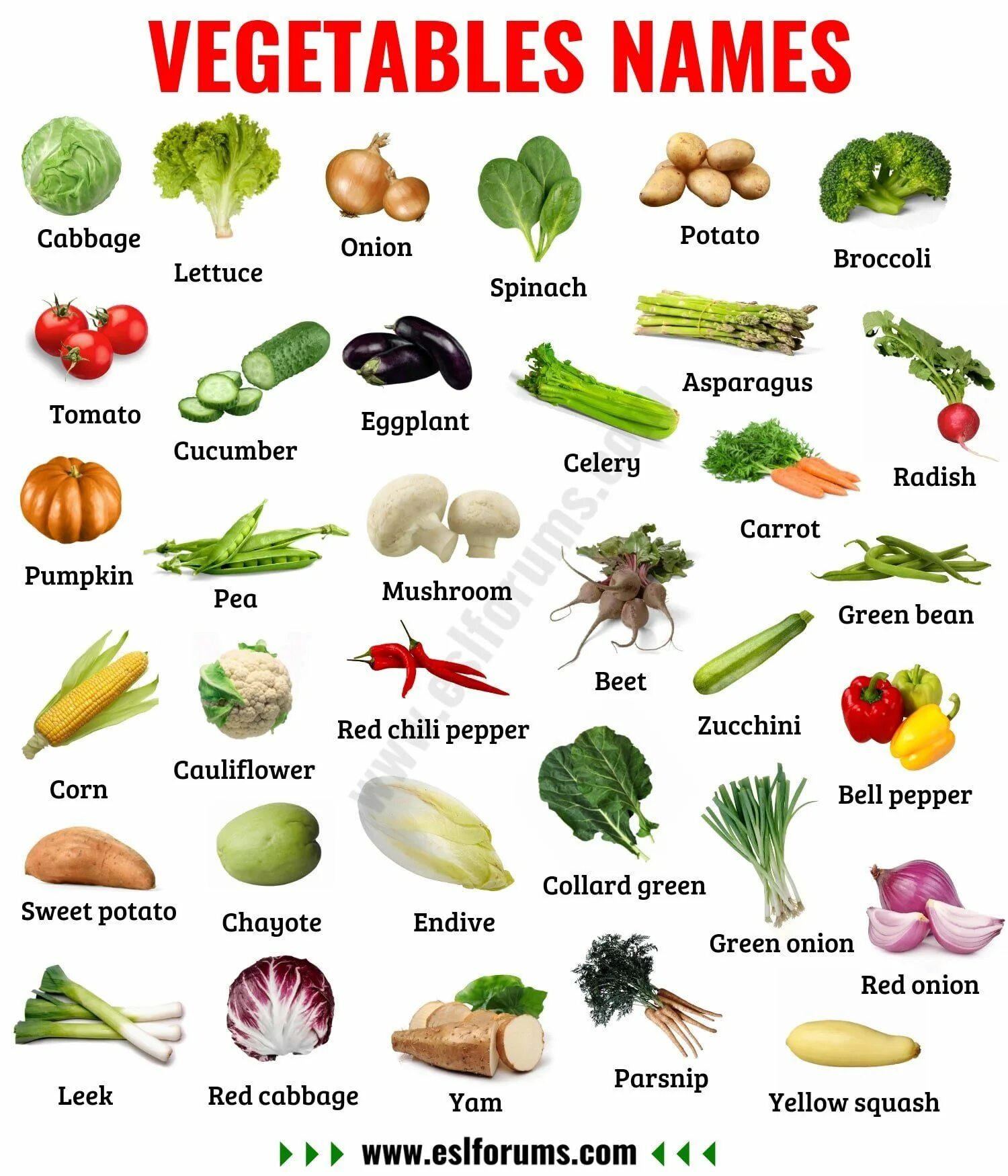 Vegetables list. Names of Vegetables in English. Овощи на английском. Овощи по английскому для детей. Овощи на английском для детей.