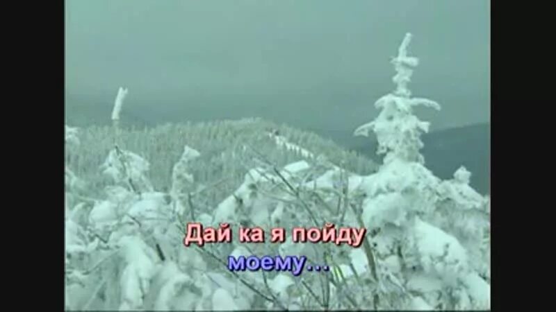 Конь Любэ караоке. Караоке Любэ выйду в поле. Караоке песня конь со словами