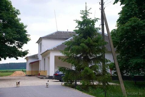 Сев сушки