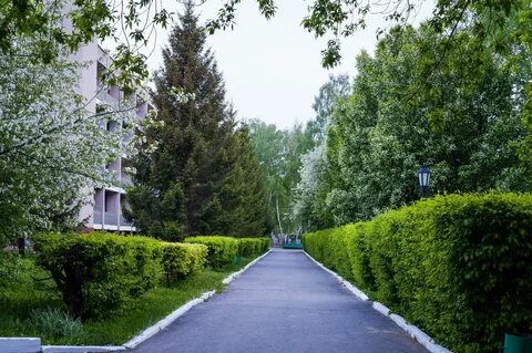 Краснозерка