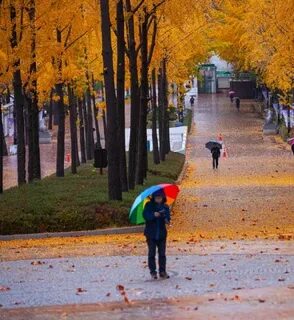 Ульяновск осенью