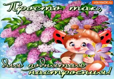 Картинки поднимающие настроение женщине красивые