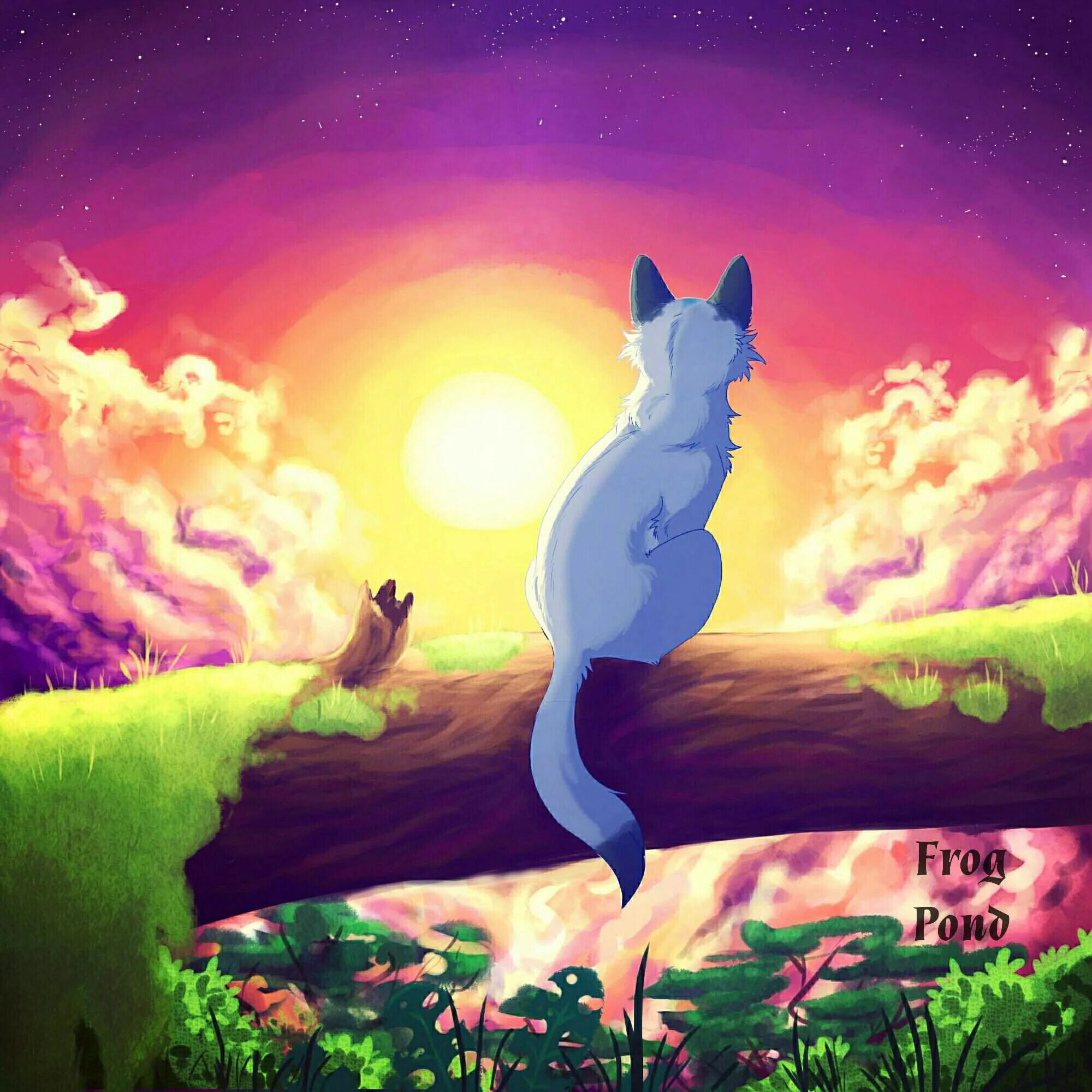 коты воители звездоцап. коты воители закат слушать. коты-воители. коты воители арт закат. закат.