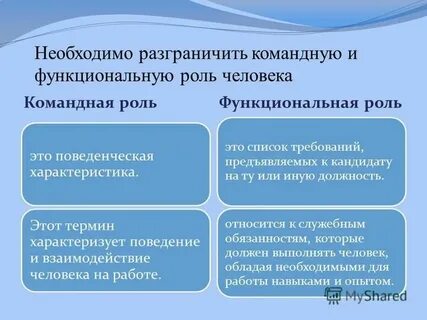 Функциональные роли человека