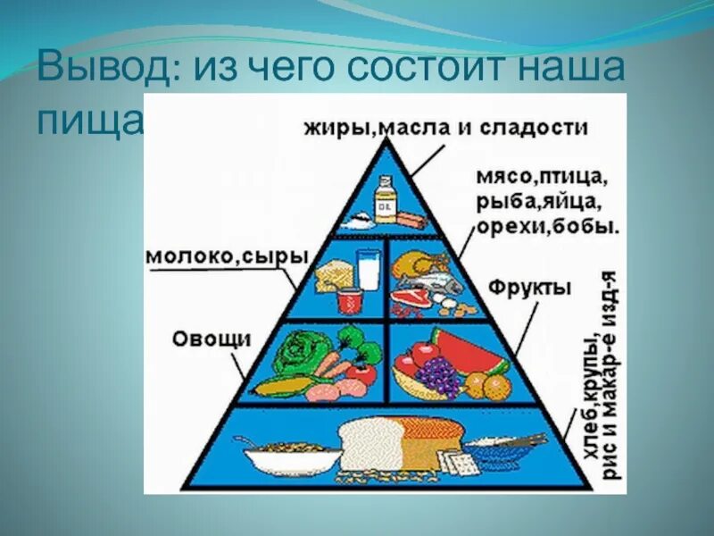 Из чего состоит наша пища. Из чего состоит наша еда. Из чего состоит питание. Из чего состоит наше питание.